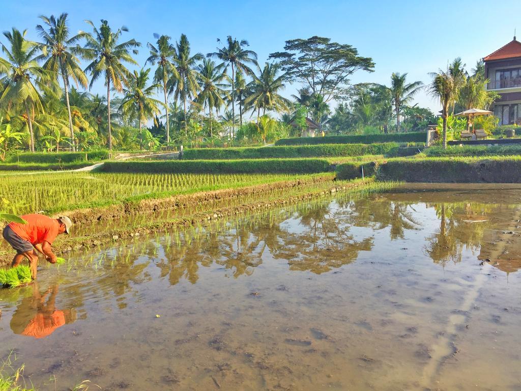 The Suris Ubud Екстериор снимка