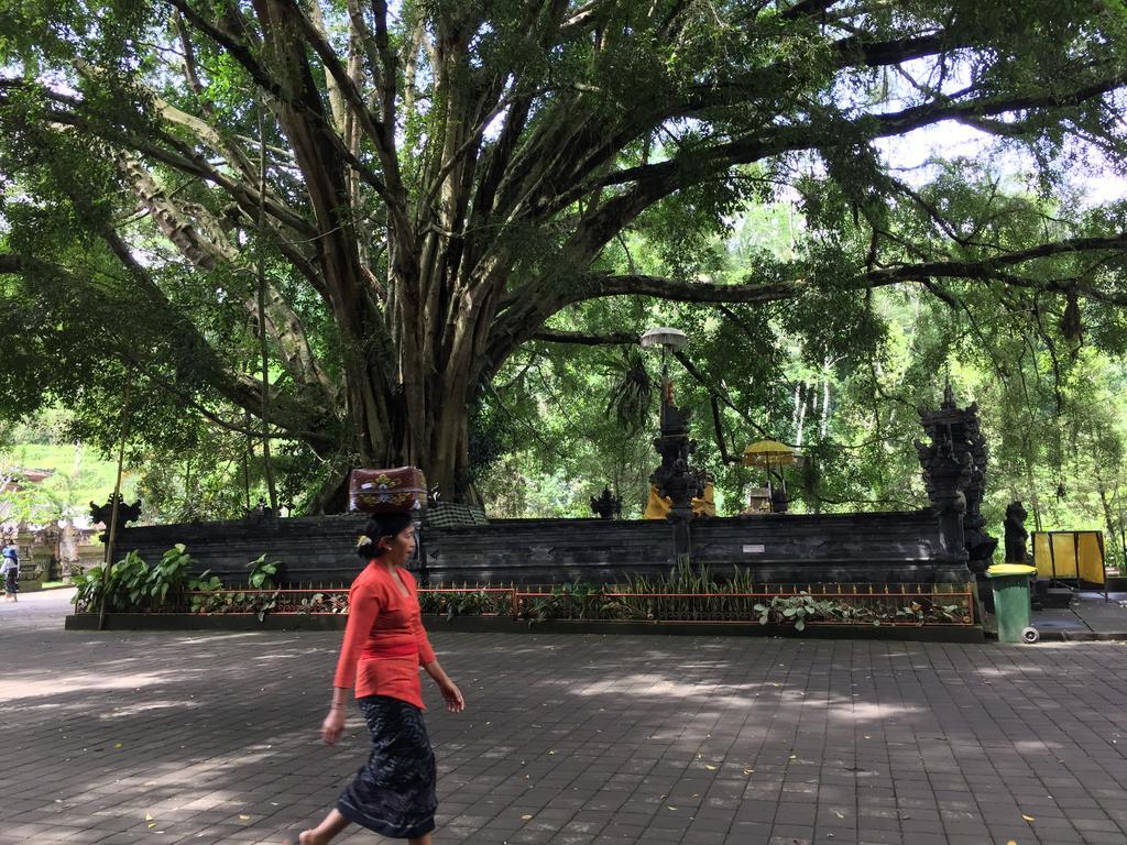 The Suris Ubud Екстериор снимка