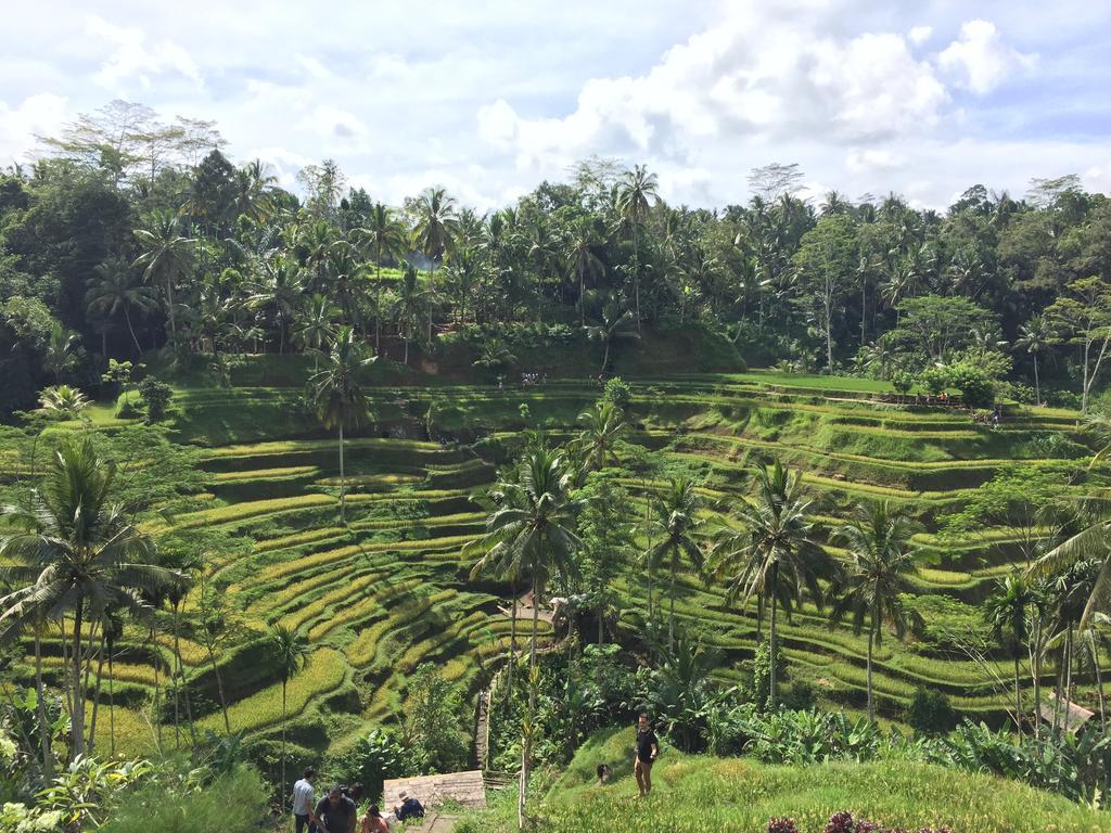 The Suris Ubud Екстериор снимка